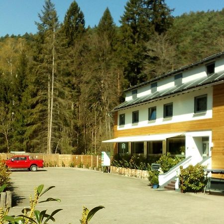 فندق بار دوركهايمفي  Waldhaus Wolfental المظهر الخارجي الصورة