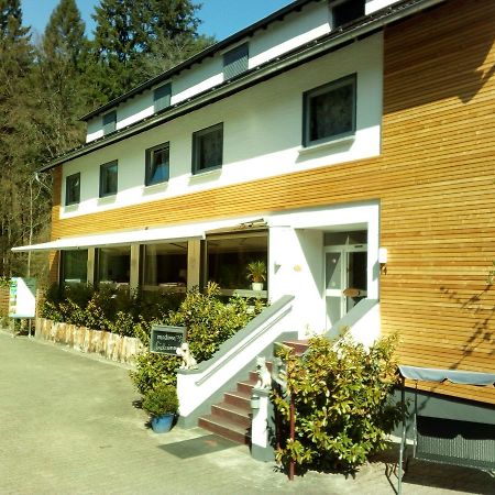 فندق بار دوركهايمفي  Waldhaus Wolfental المظهر الخارجي الصورة
